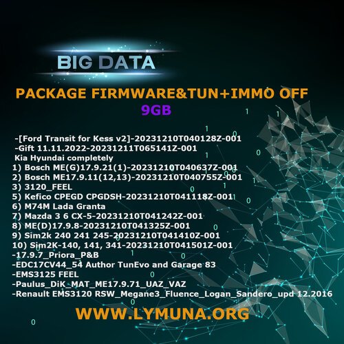 More information about "PACKAGE FIRMWARE&TUN+IMMO OFF |9GB|"
