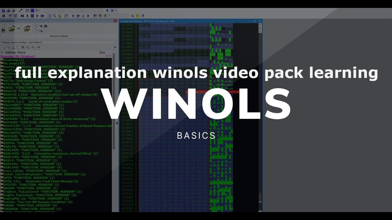 explanation winols video pack learning