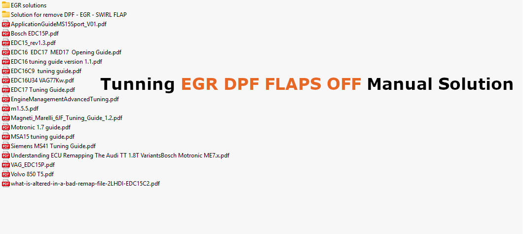 Tunning EGR DPF FLAPS OFF Manual Solution