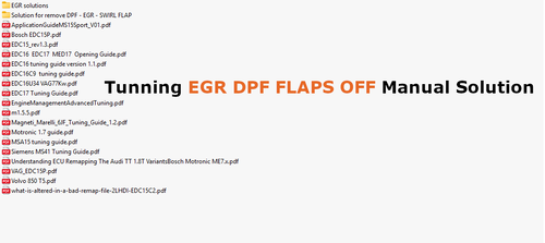More information about "Tunning EGR DPF FLAPS OFF Manual Solution"